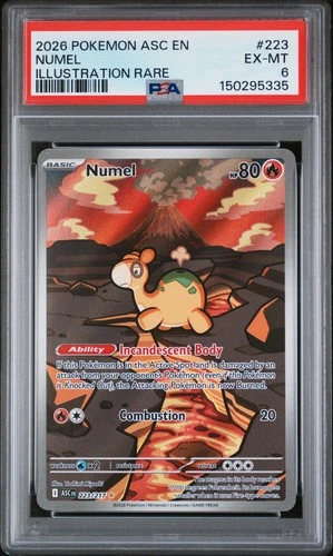 2026 POKEMON ASC EN-ASCENDED HEROES ILLUSTRATION RARE #223 NUMEL PSA 6