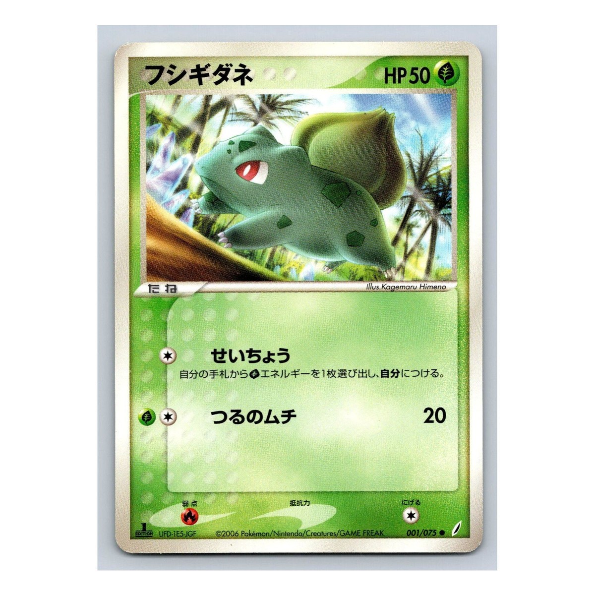 PSA10】 フシギダネ/Bulbasaur カードダス Bandai 【公式通販】