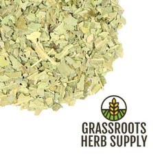 Neem Leaf, c/s Azadirachta indica 