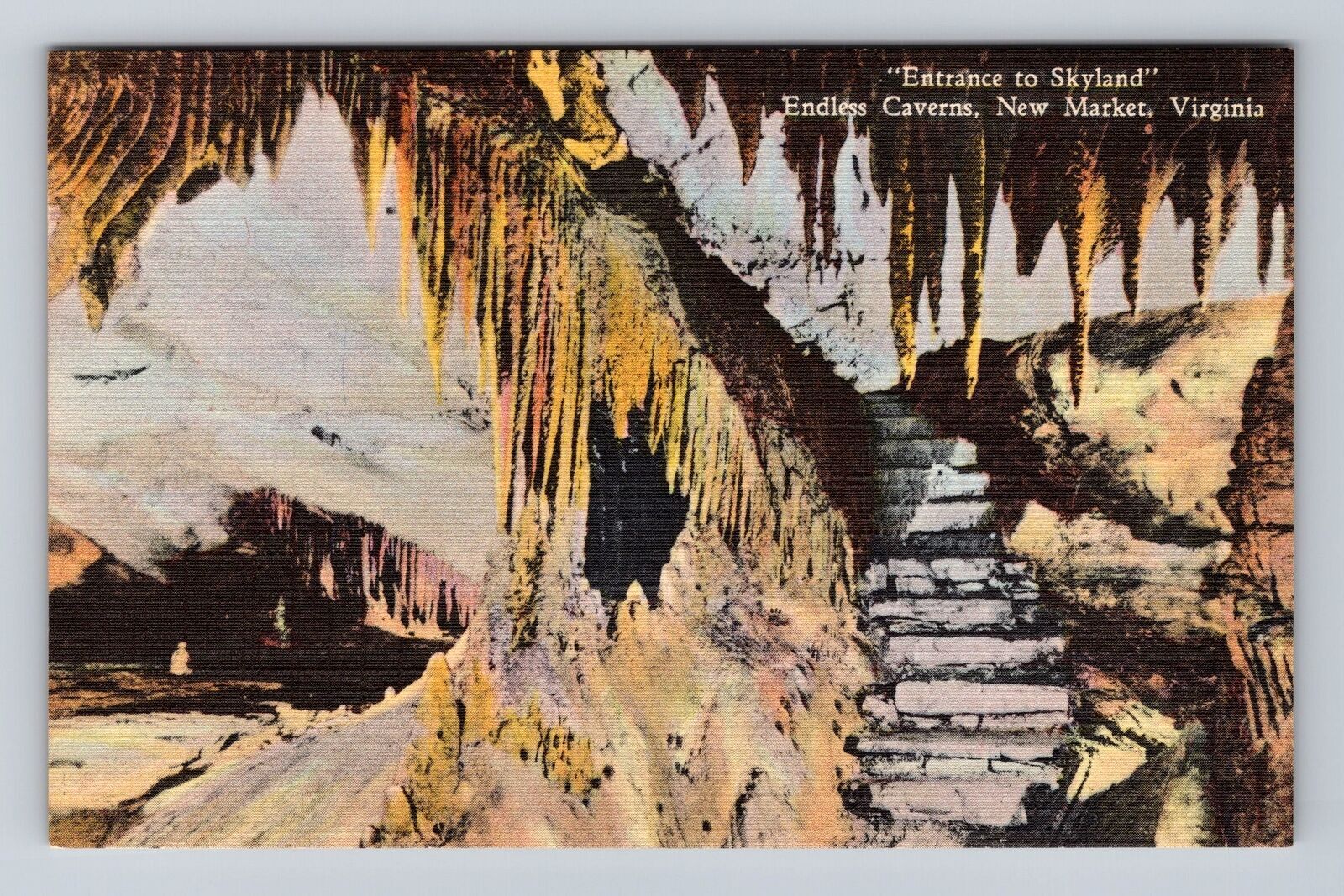 Nuevo Mercado VA-Virginia, Entrada a Skyland, Cavernas Interminables, Postal De Colección