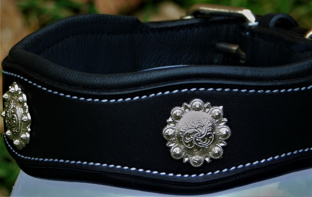 Tysons Breeches Hundehalsband Leder ‚Wave‘ – Schwarz, Wellenförmig Mit Sonnen-Conchos | Größe L/XL, Weich Unterlegt, Fest Vernäht