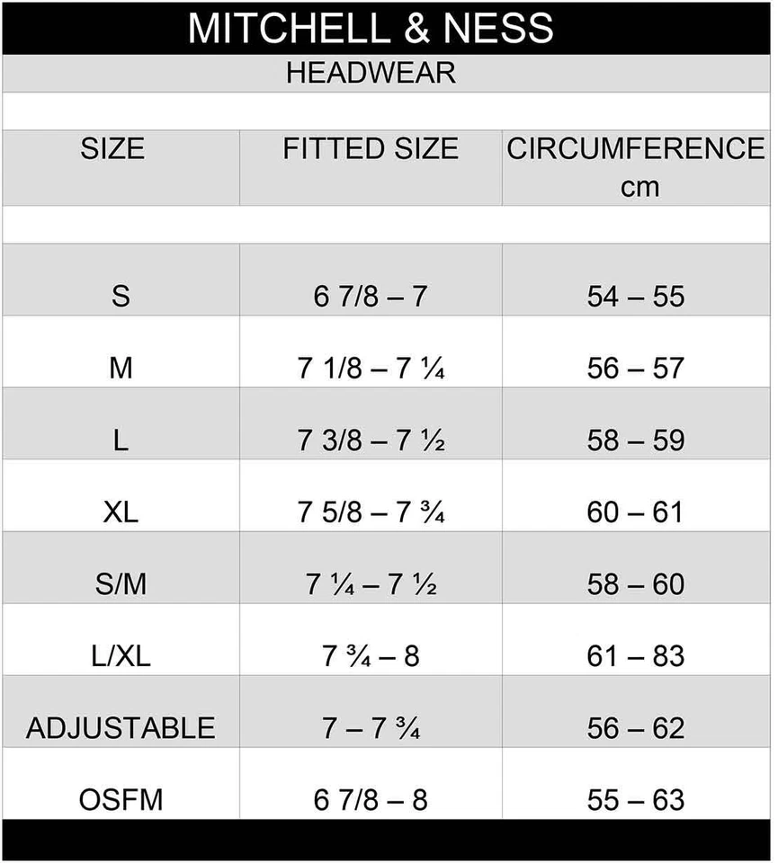 Gorra Mitchell & Ness Vancouver Grizzlies Core Basic HWC ajustable con cierre a presión Foto 2 de 2