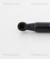 Triscan Gasfeder, Koffer-/Laderaum 8710 38233 FüR CitroËN
