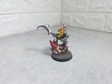 Warhammer Age Of Sigmar Single Loon Boss Gloomspite Gitz Games Workshop Painted