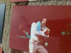 ELVIS PRESLEY CONCERT 45  PICTURES  MAY 1977 CHICAGO  ELVIS IN CONCERT — photo 8