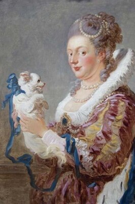 Portrait of a Woman with a Dog Jean Fragonard Poster Print