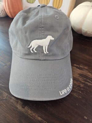 NWT Life is Good Men And Women Adult Stay True Lab Chill Hat, Gray