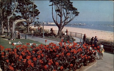 California Santa Monica Palisades Park red canna lilies beach ~ postcard sku355