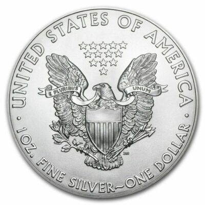 2016 ) 1 Oz American Eagle Colorized Coin .999 Silver ( COA ) : | eBay
