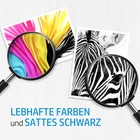 Bild 5 von 10