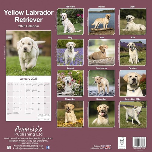 Hunderassekalender 2025 - Monatlicher Wandkalender 30x60cm Geschenk für Hundeliebhaber - Bild 46 von 48