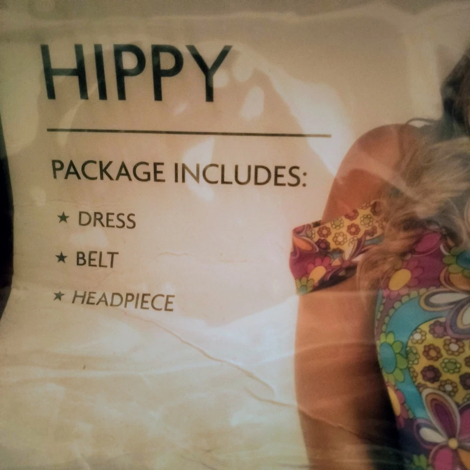 Disfraz Starline Flor Niño Hippy Años 60 Talla Grande 2 X Halloween Juegos con disfraces Foto 2 de 4