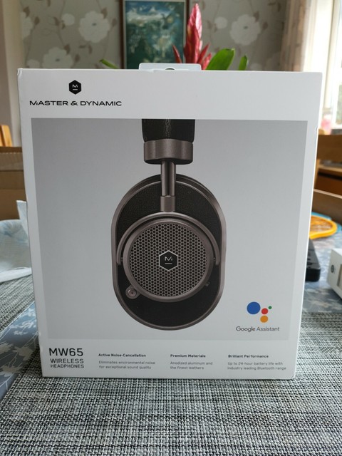 Master \u0026 Dynamic MW65G1 Over the Ear 