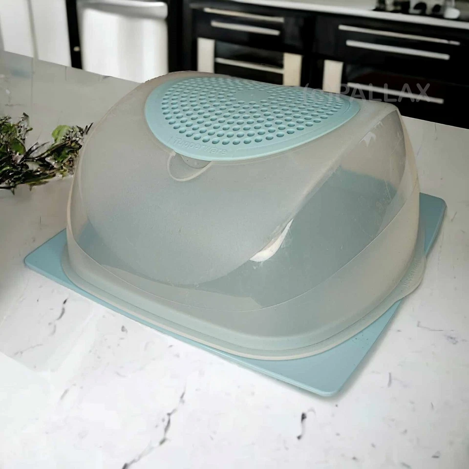 TUPPERWARE A138 JUNIOR-KÄSEMAX MINT KÄSEBEHÄLTER KÜHLSCHRANK