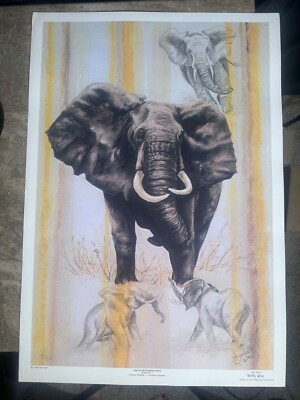 African Elephant by C. Holly Merrifield 142/500