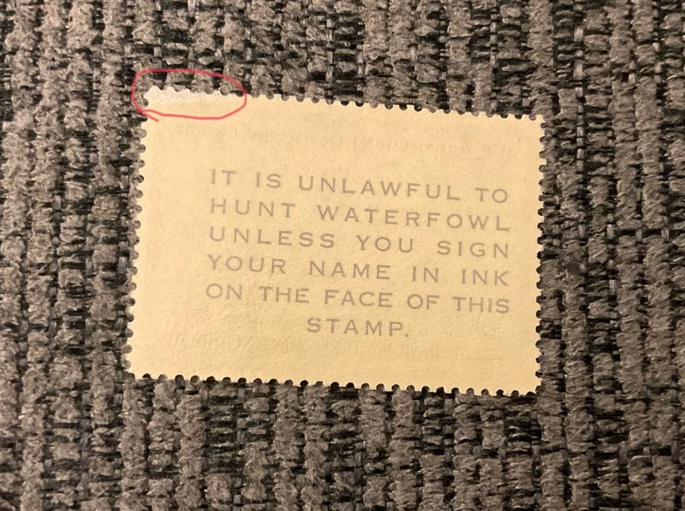 #RW23 1956 US Federal Duck Stamp $2 Migratory Bird Hunting American Merganser - Image 2 of 2