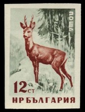 BULGARIA 1005i - Red Deer  Capreolus capreolus  (pf5097)