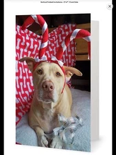 Scrappy Dizzle Designz- 1 Holiday Card w/Envelope: Christmas Dog - Animal Rescue