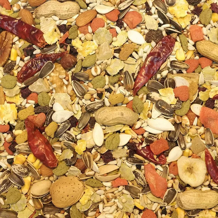 Higgins sunburst top parrot food