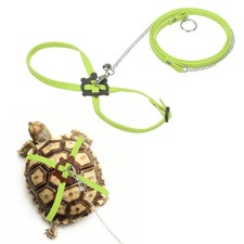 Tortoise Leash Harness with Bell,  Leather, Small, Lake Green 
