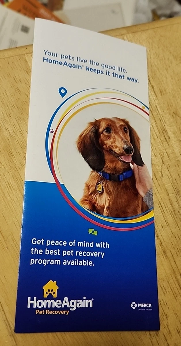 Home again sale pet recovery
