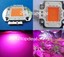 thumbnail 3 - 100W 50W 30W 20W 10W 3W 380NM-840NM Full Spectrum High Power LED Chip Grow Light