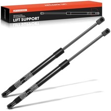 Rear Liftgate Lift Supports Shock Struts Compatible with Select Hyundai Model