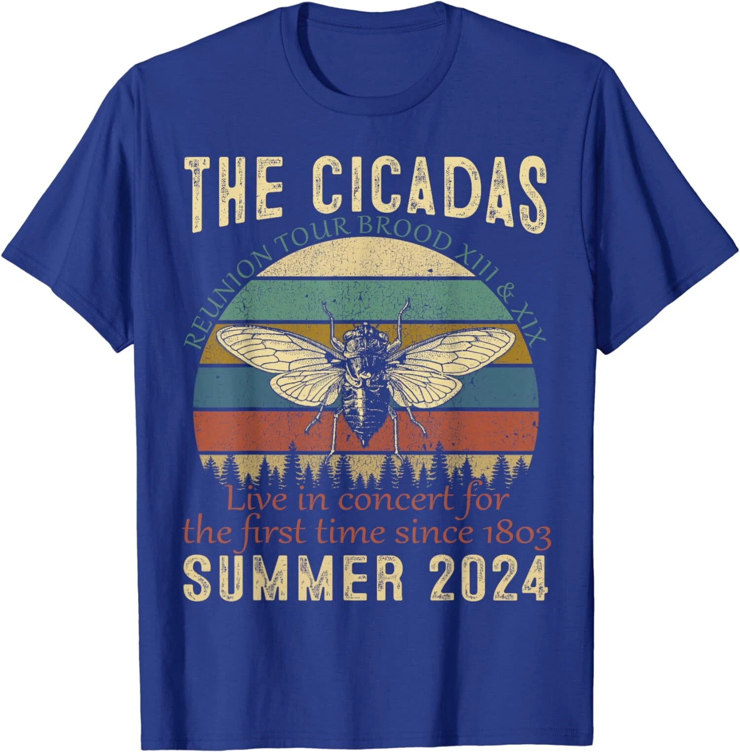 Cicada Brood XIII XIX Summer 2024 Reunion Tour Swarm Cicadas T-Shirt