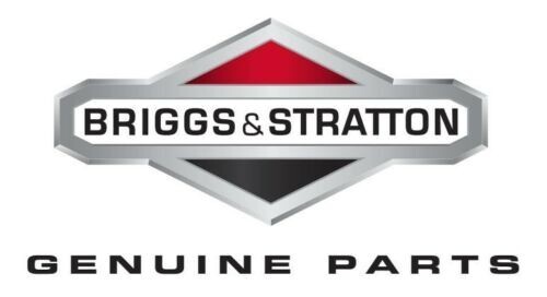 CARBURADOR FLOTANTE Briggs & Stratton 694914 - Imagen 2 de 2