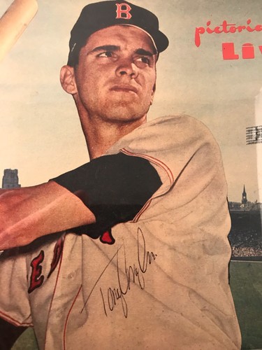 Tony Conigliaro Signed 1965 Boston Advertiser Ex 10 X 12 Color Photo 1/1 BSC COA - Picture 3 of 5