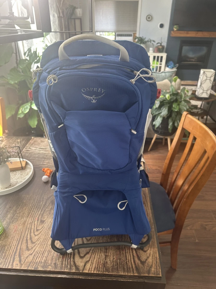 patagonia backpack green Refugio Day Pack 26L Colour:BLUE BLUE which is an 84% OOS Osprey Comet 30 Backpack