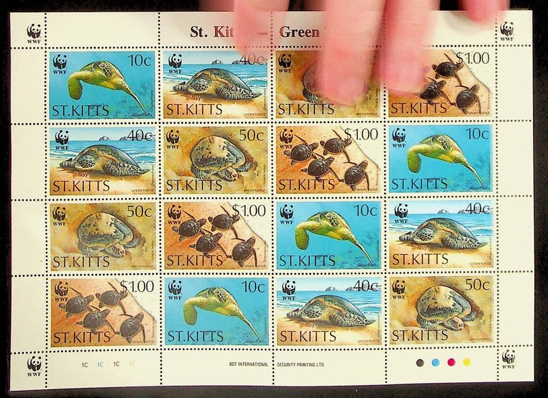 St. KITTS Sc 384a NH MINISHEET OF 1995 - WWF - TURTLES - (DL24)