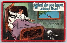 Vintage Postcard Humor Funny Cartoon Angry Man in Bed Robin Divided Back ~8027