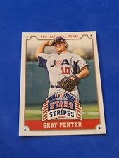 2015 Gray Fenter Panini USA Baseball Stars & Stripes #40