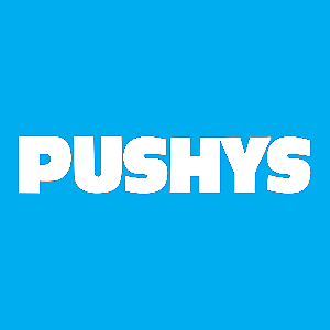pushys ebay