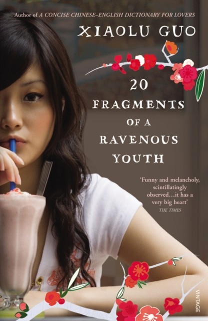 20 Fragments of a Ravenous Youth by Xiaolu Guo (Paperback Book)