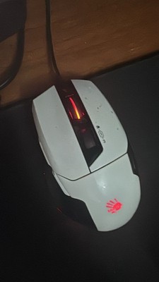 mouse