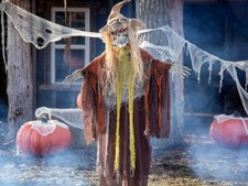 Standing Animated Skeleton Reaper Halloween Prop 6ft Haunted House Sound Effect