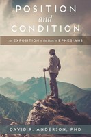 David R. Anderson | Position And Condition | Taschenbuch | Englisch (2017)
