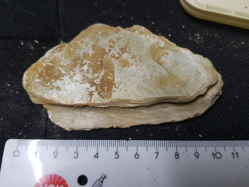 Mineralien Kristalle Edelstein Tropfstein Verschiedene Auswahl - Bild 121 von 158