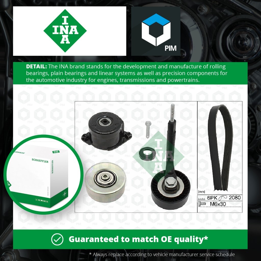 Drive Belt Kit 529031410 INA Set 11282339100 11282339148  