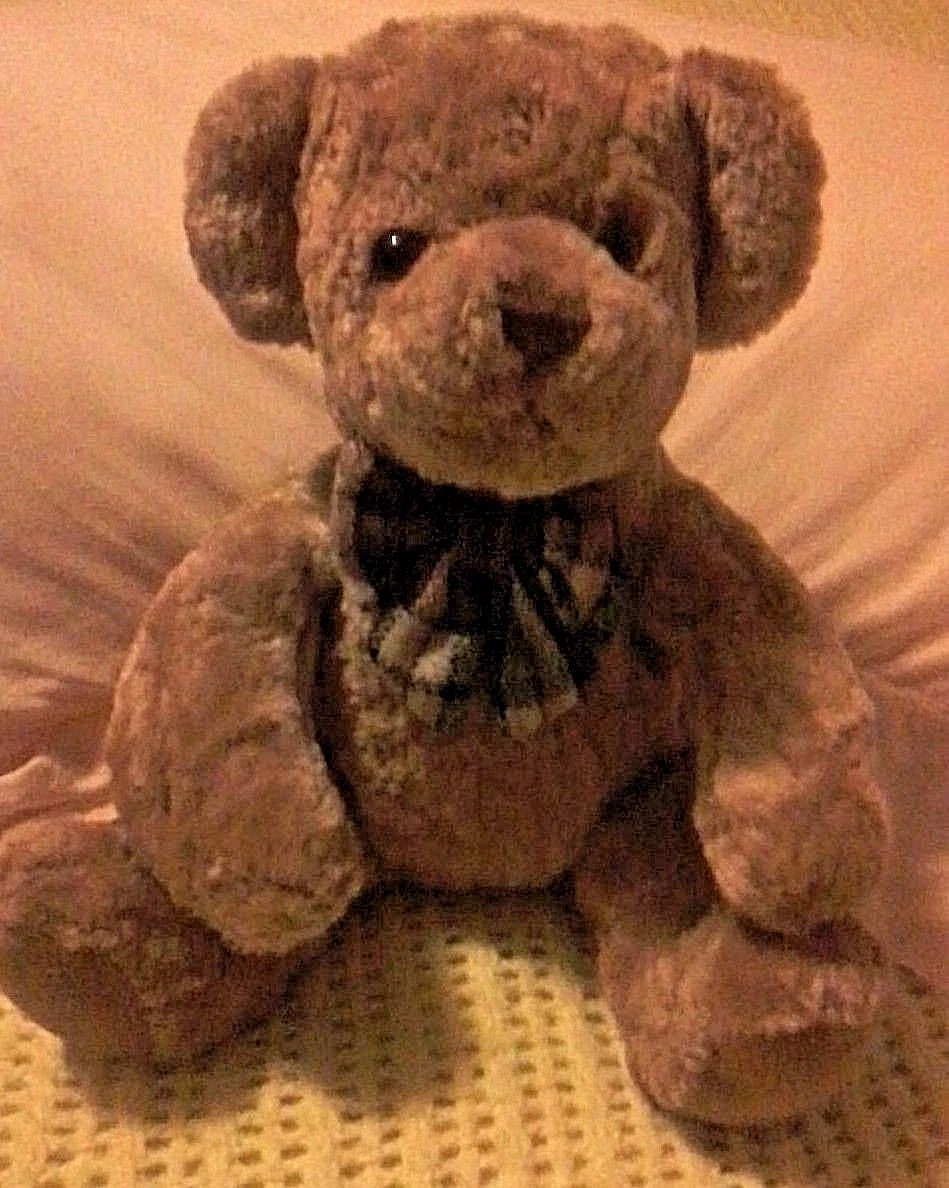 Giant stuffed on sale bear target