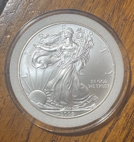2009 American Silver Eagle Dollar Uncirculated 1 oz. 99.9 % Flawless Beauty