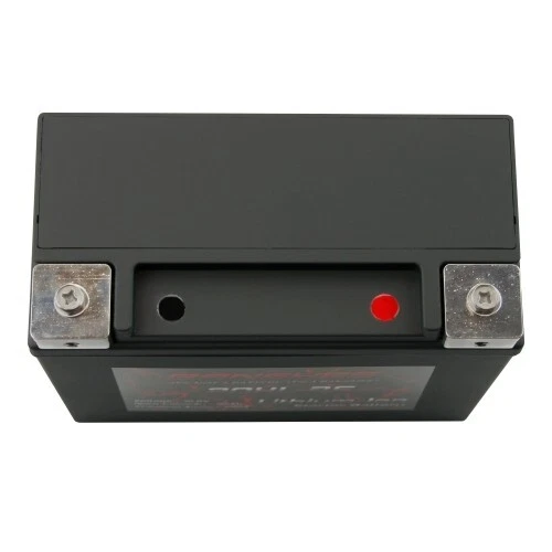 YTX20L-BS Lithium Replacement Battery For Big Dog Wolf 09 - Image 2 of 4