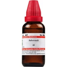 Willmar Schwabe Homeopathy Jaborandi Mother Tincture Q (30 ML)
