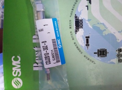 1PC New SMC CDJ2B10-30Z-B Cylinder  #nm