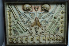 VERY OLD ANATOMICAL TRAVELLING FAUX HUMAN SKELETON CARRY CASE VERY RARE L@@K