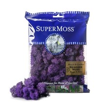 SuperMoss Preserved Reindeer Moss, Purple, Approx. 2oz for Crafts and Decor