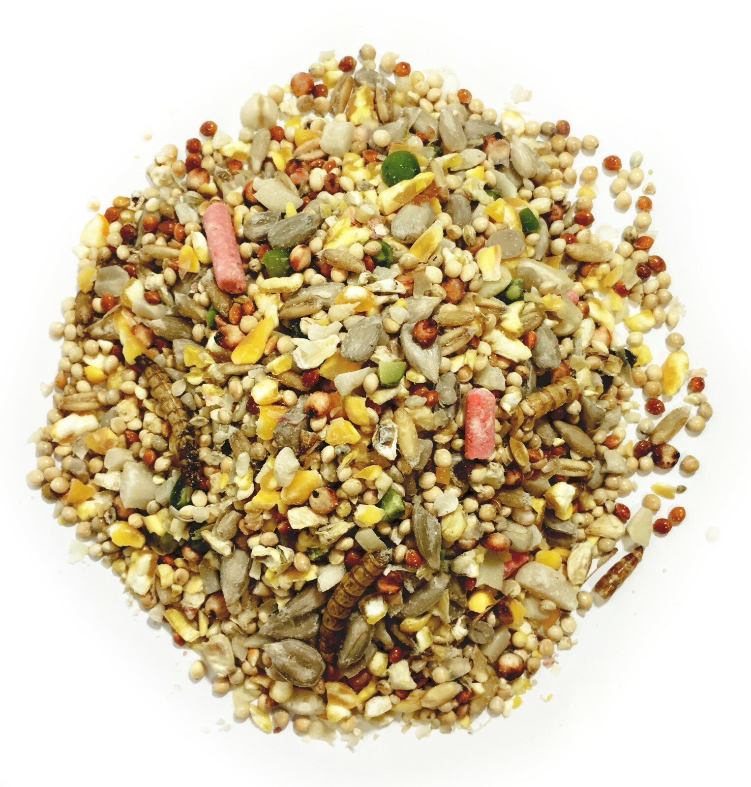 Pet Performance Garden Feast Wild Bird All Season Mix Mealworms & Suet