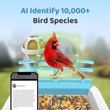 Smart Bird Feeder with Camera Solar Powered, Birdfeeder Cam for Outside, AI S...